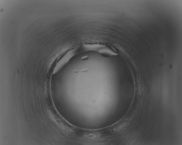 X0000053090447200507181723