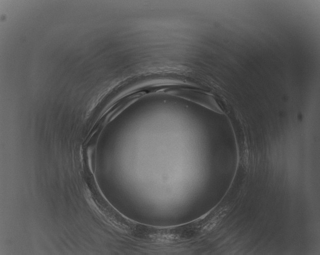 X0000053090448200507181723