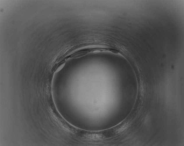 X0000053090449200507181723