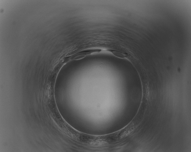 X0000053090451200507181723