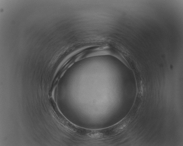 X0000053090452200507181723