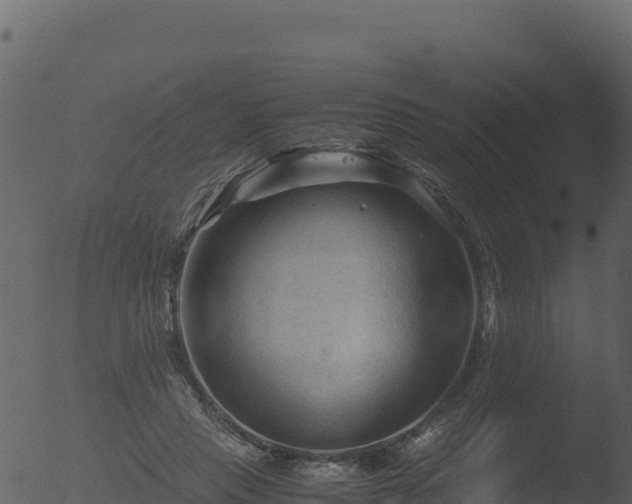 X0000053090453200507181723