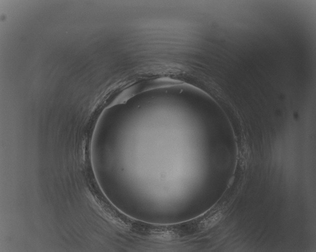 X0000053090454200507181723