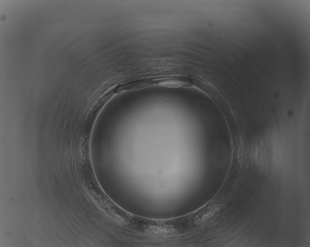 X0000053090455200507181723