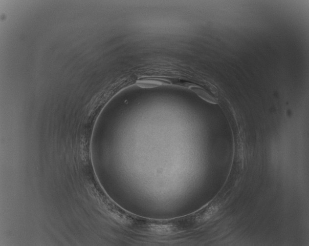 X0000053090457200507181723