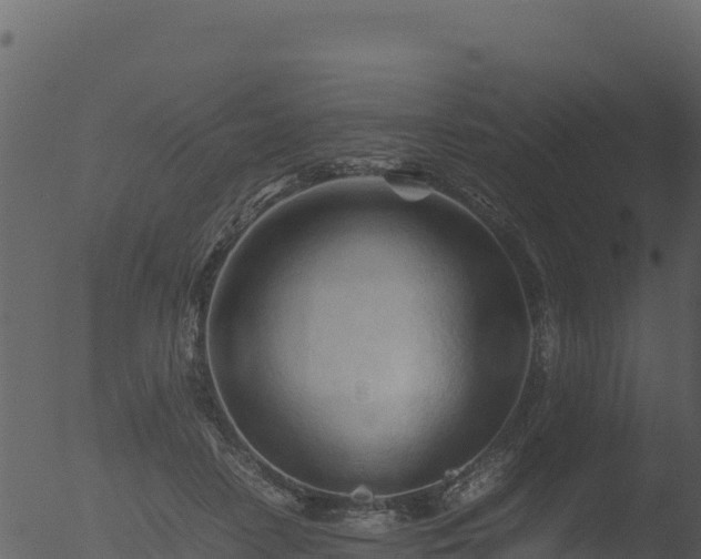 X0000053090458200507181723