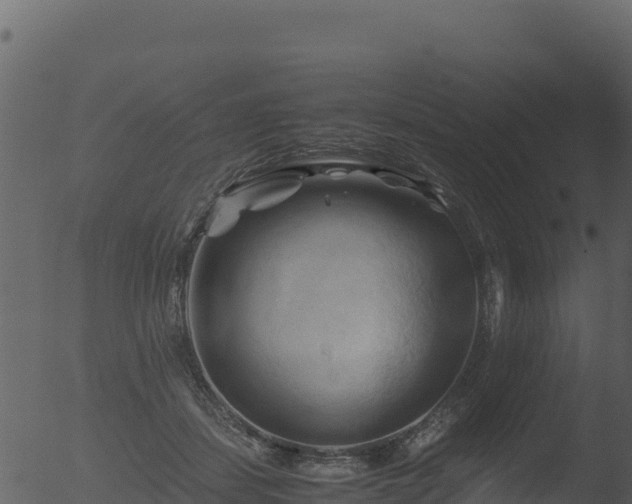 X0000053090459200507181723