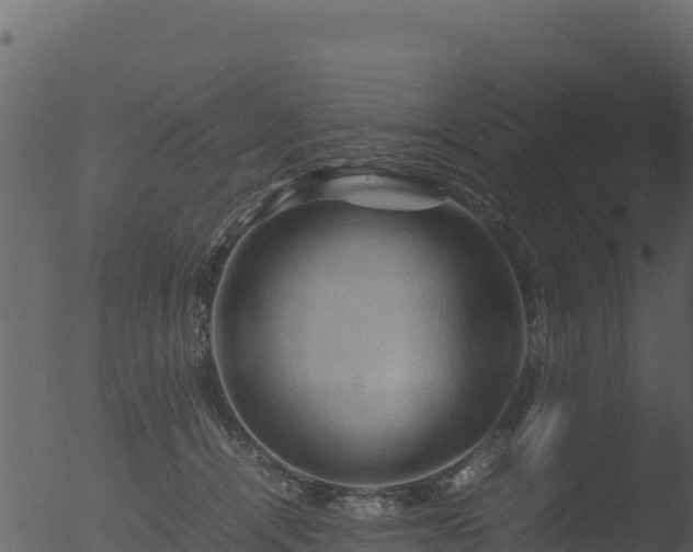 X0000053090464200507181723