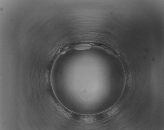 X0000053090466200507181723