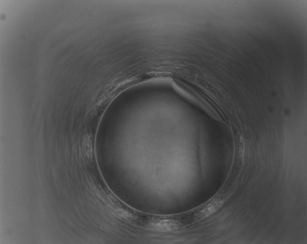 X0000053090467200507181723