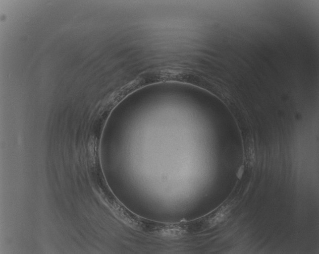 X0000053090468200507181723