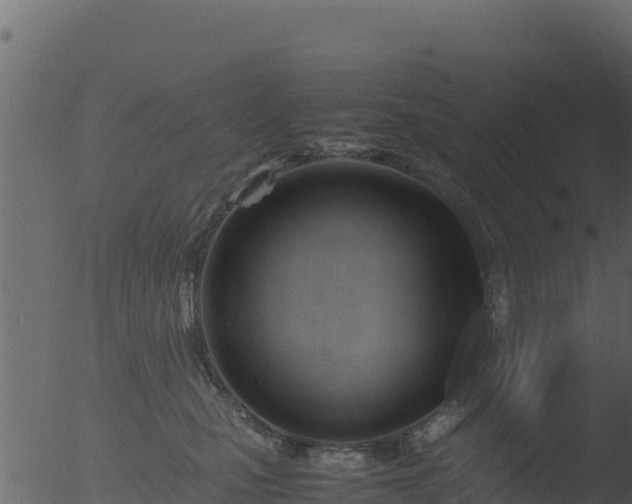 X0000053090471200507181723