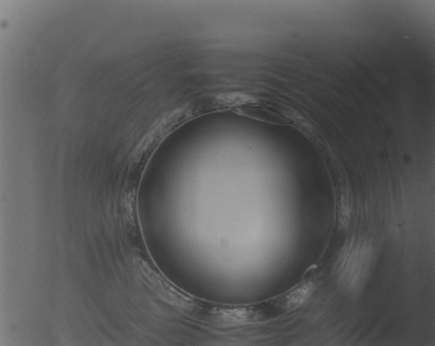 X0000053090473200507181723