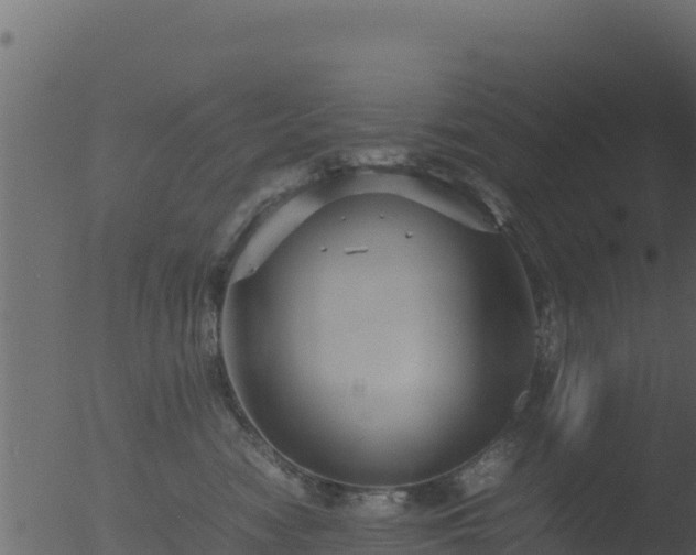 X0000053090474200507181723