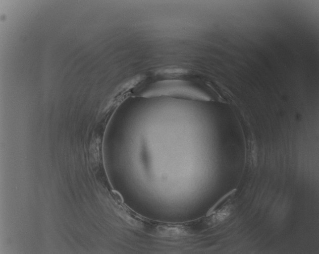 X0000053090475200507181723