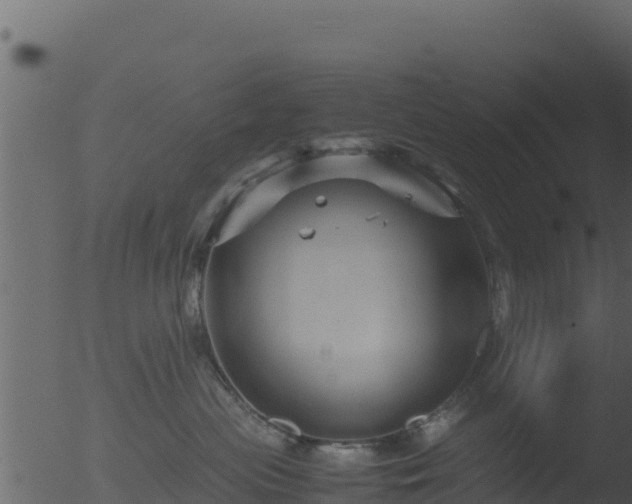 X0000053090477200507181723