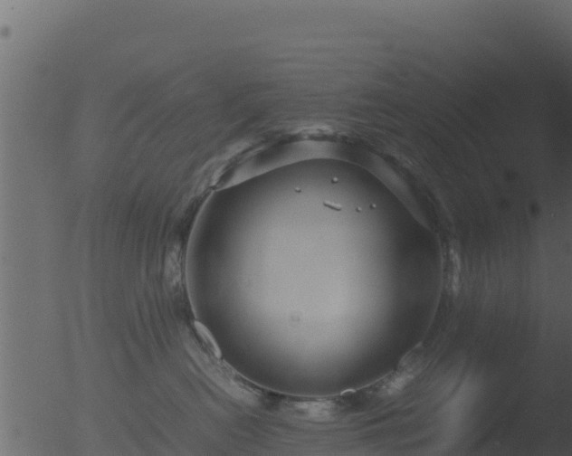 X0000053090478200507181723