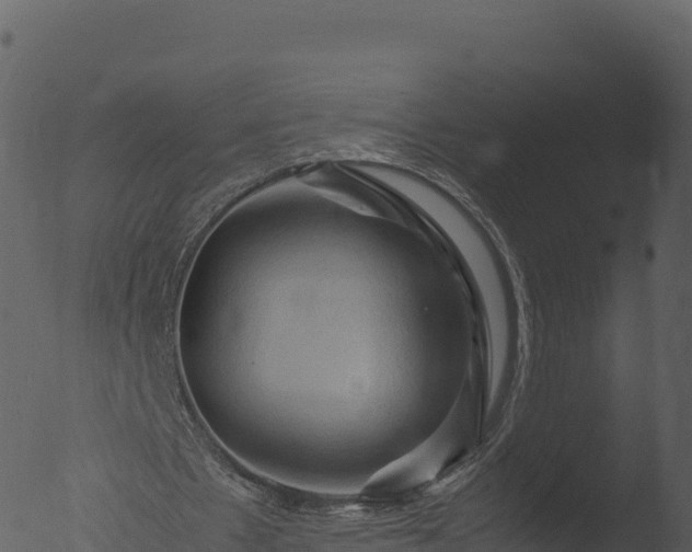 X0000053090481200507181723