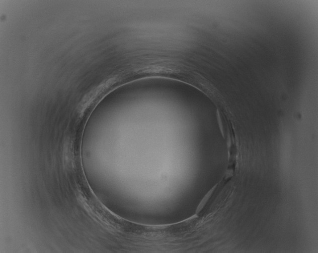 X0000053090482200507181723