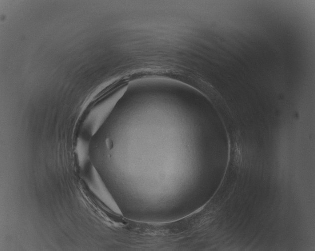 X0000053090484200507181723