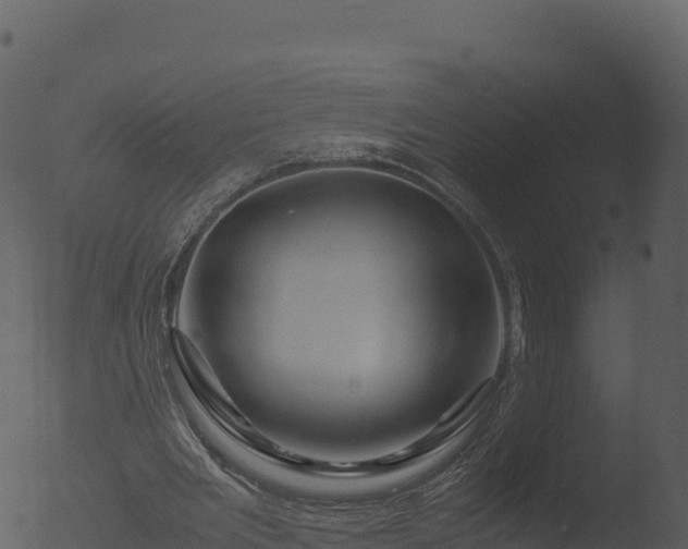 X0000053090485200507181723