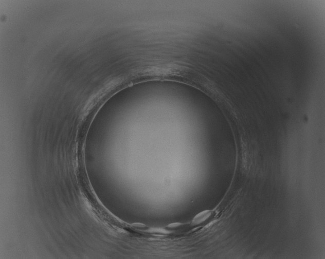 X0000053090486200507181723