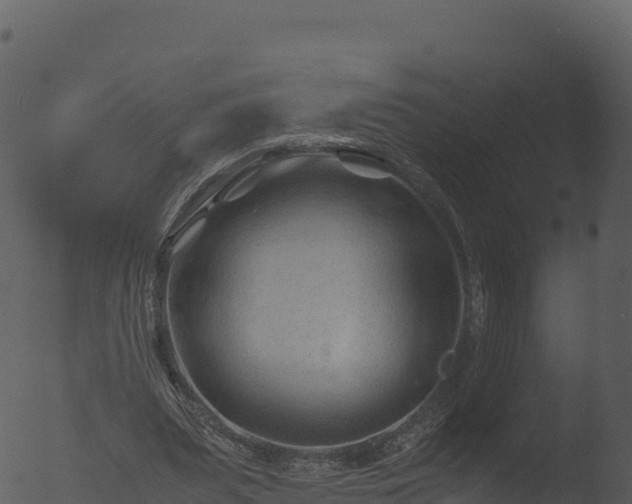 X0000053090487200507181722