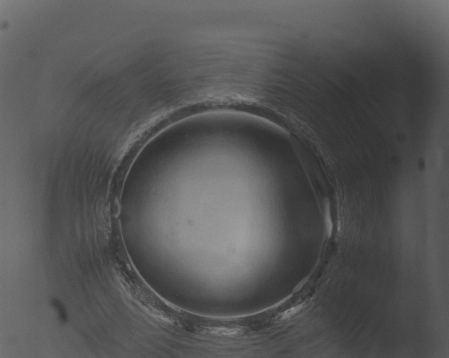 X0000053090488200507181722