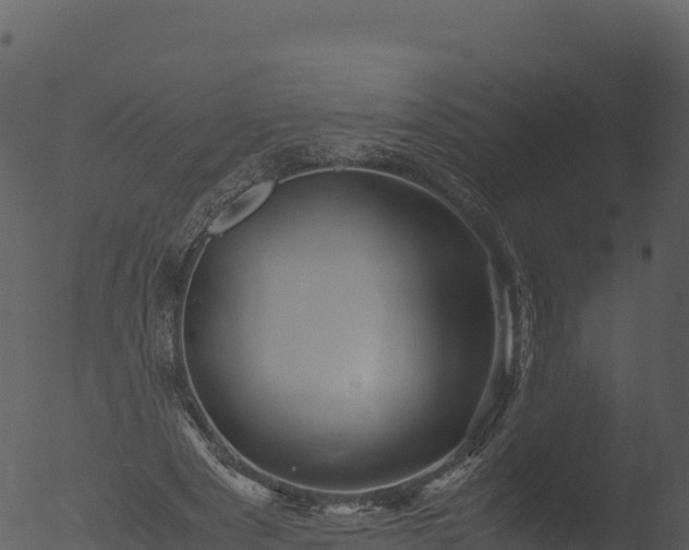 X0000053090489200507181722