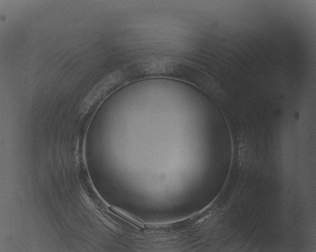 X0000053090490200507181722