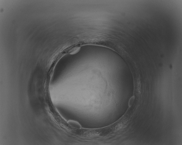 X0000053090491200507181722