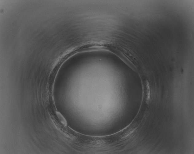 X0000053090492200507181722