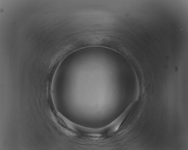 X0000053090493200507181722