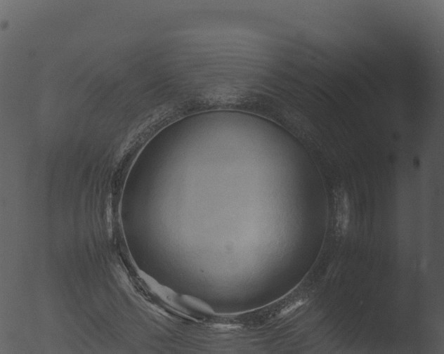 X0000053090494200507181722