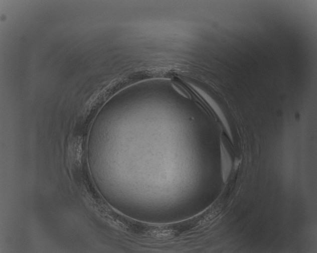 X0000053090495200507181722