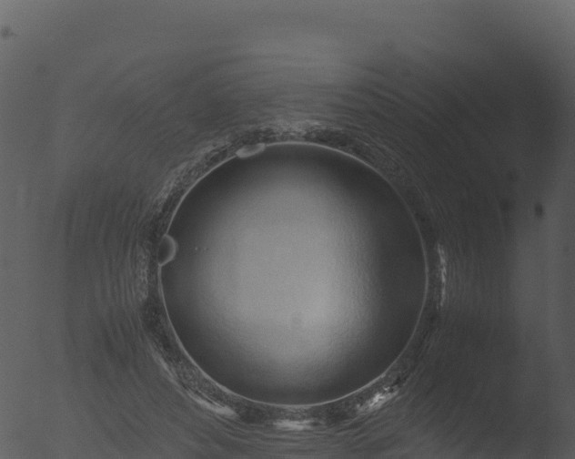 X0000053090496200507181722