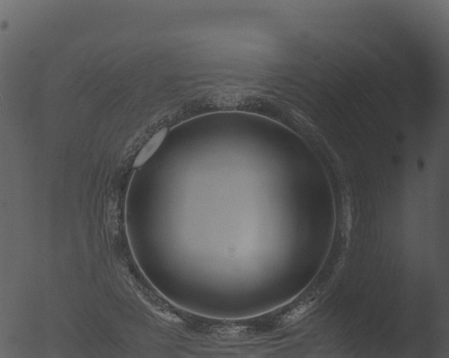 X0000053090497200507181722