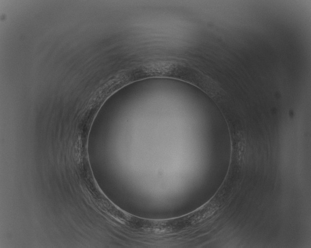 X0000053090498200507181722