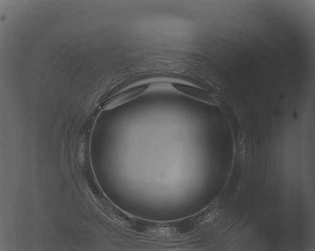 X0000053090499200507181722