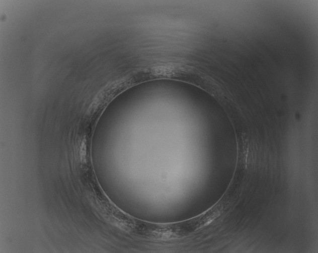 X0000053090502200507181722