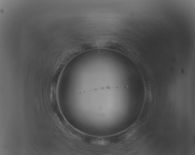 X0000053090503200507181722