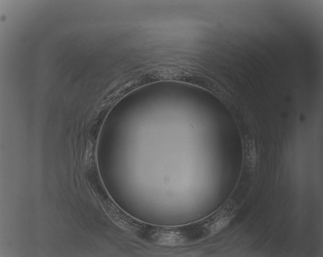 X0000053090507200507181722