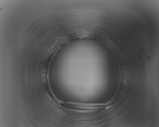 X0000053090510200507181722