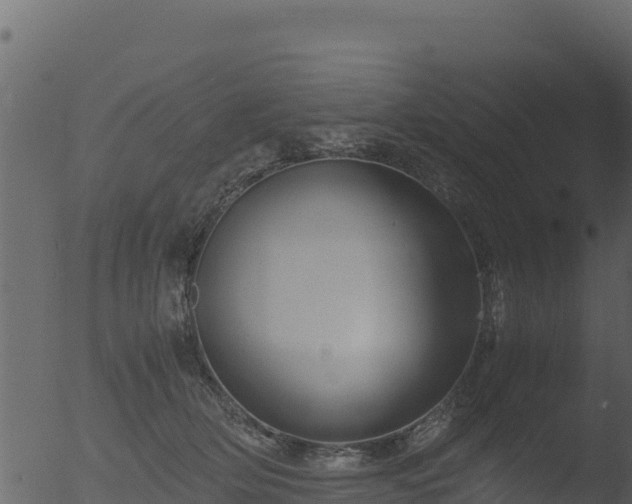 X0000053090514200507181722