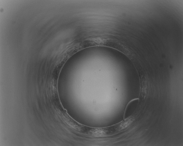 X0000053090518200507181722