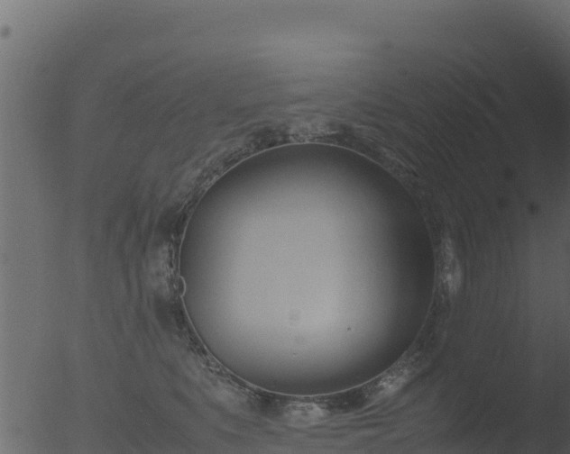 X0000053090519200507181722