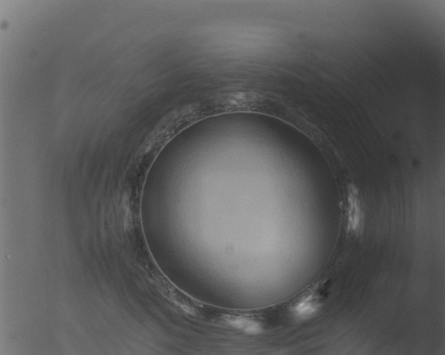 X0000053090520200507181722