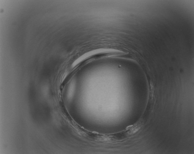 X0000053090523200507181722