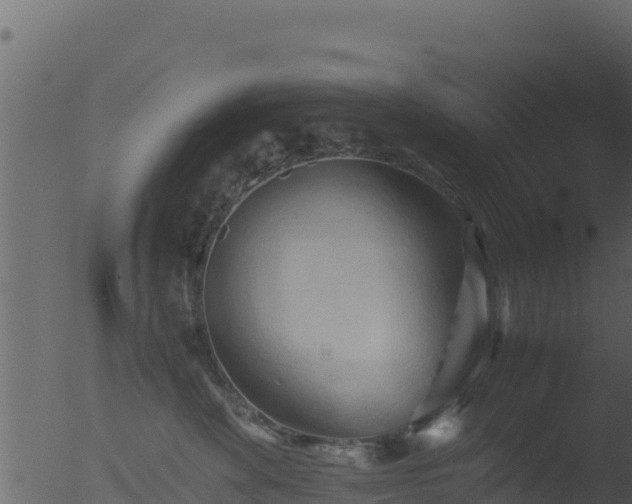 X0000053090524200507181722