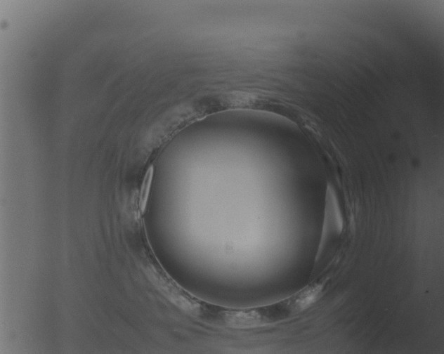 X0000053090525200507181722